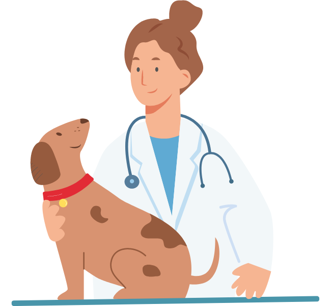 Wanneer Moet je Je Hond Steriliseren?