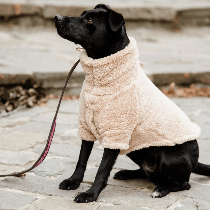 Dog Sweater Teddy Fleece