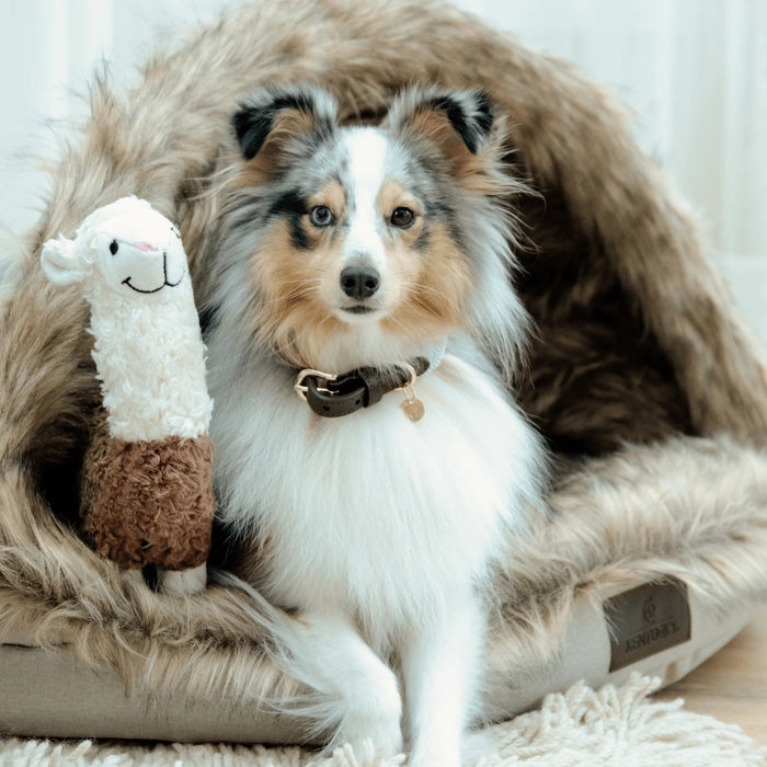 Dog Toy Alpaca Alfredo