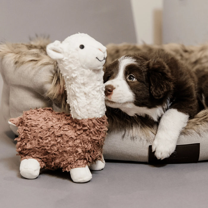 Hondenspeeltje Alpaca Alfredo