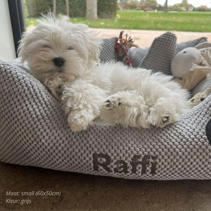 BROOKS Dog Bed - Personalized with name