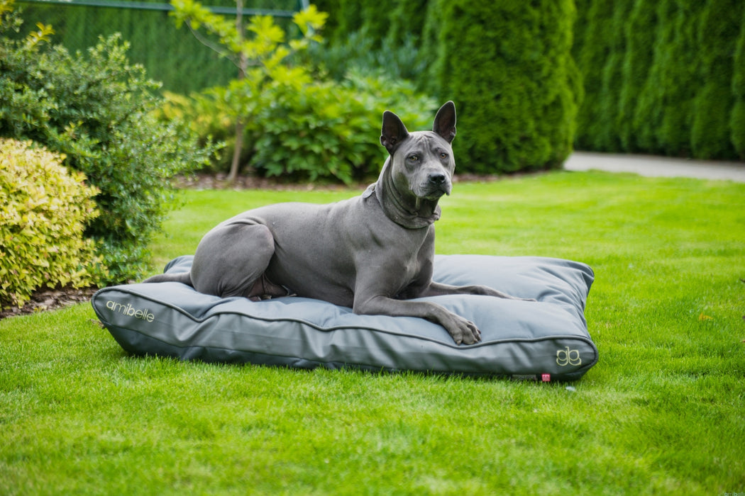 Outdoor cushion - Orthopedic - Gray