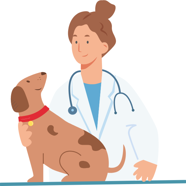 Wanneer Moet je Je Hond Steriliseren?