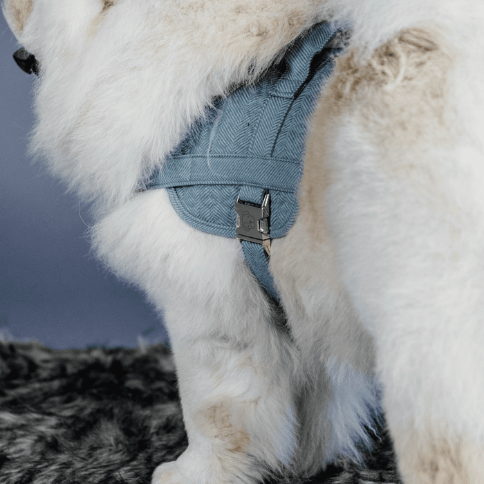 Dog Harness Body Safe Wol