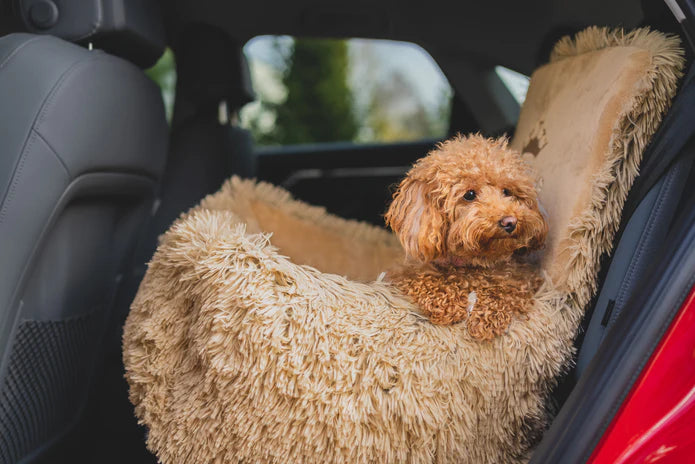 bella teddy - fluffy autostoeltje voor honden