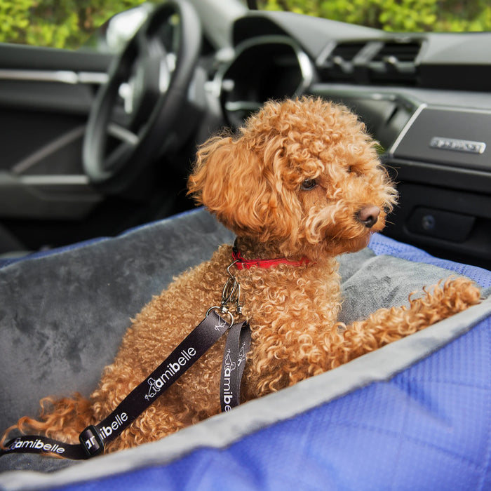 BELLA - Autostoel voor hond - Verhoogd