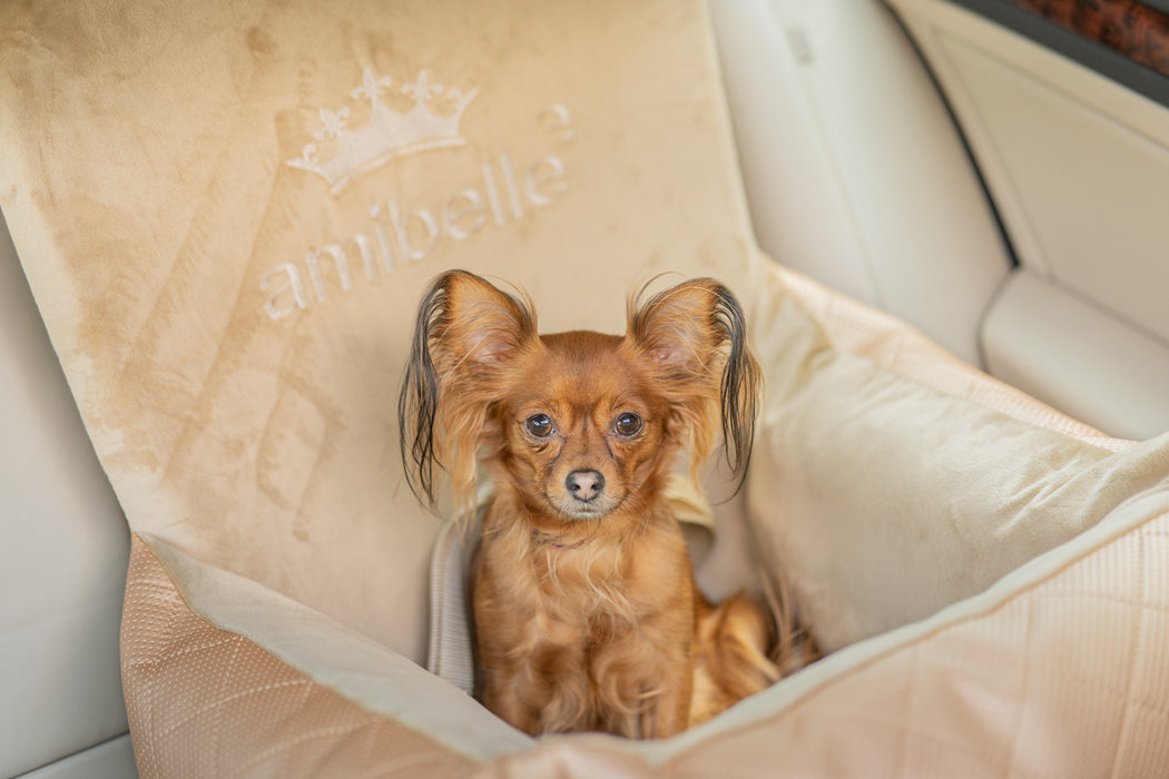 Outlet | Bella - Autositz für Hunde