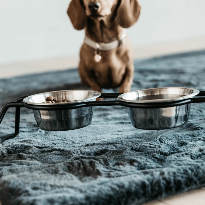 Dog Bowl Comfort Feeder