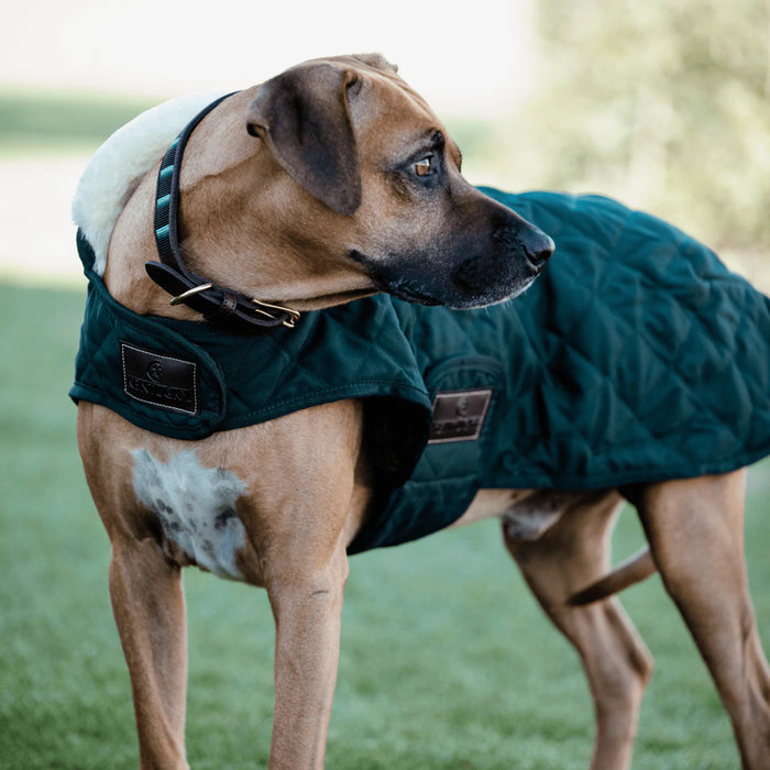 Dog Coat Original