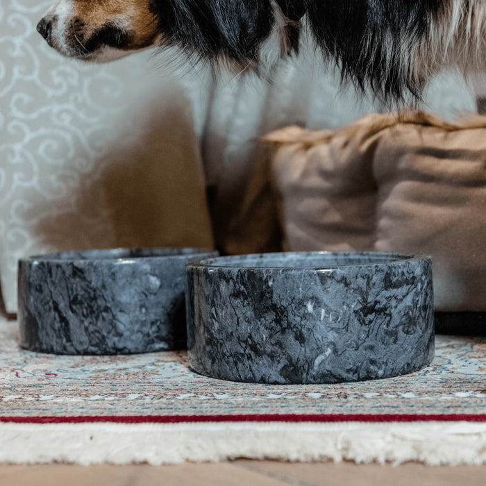 Dog Bowl Marble