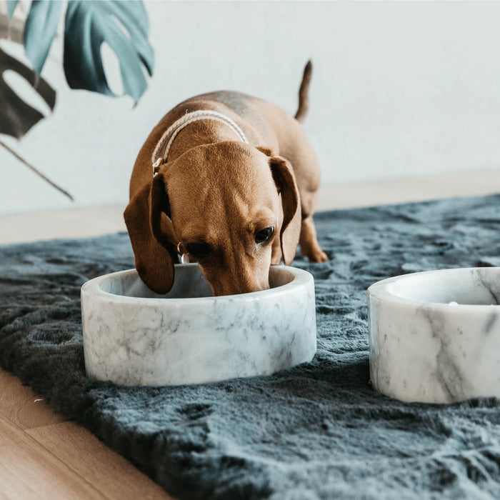 Dog Bowl Marble