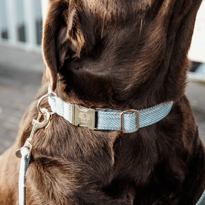Wool Dog Collar