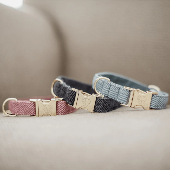 Hondenhalsband Wol