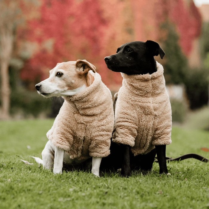 Dog Sweater Teddy Fleece