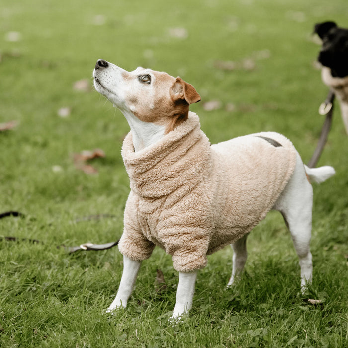 Dog Sweater Teddy Fleece