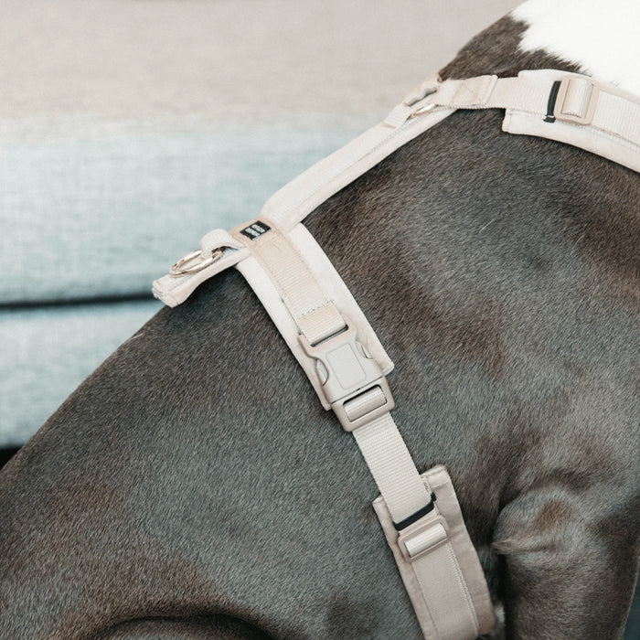 Dog Harness Active Velvet