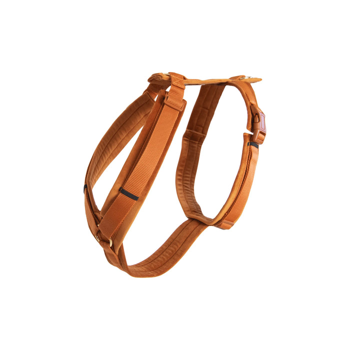 Dog Harness Active Velvet