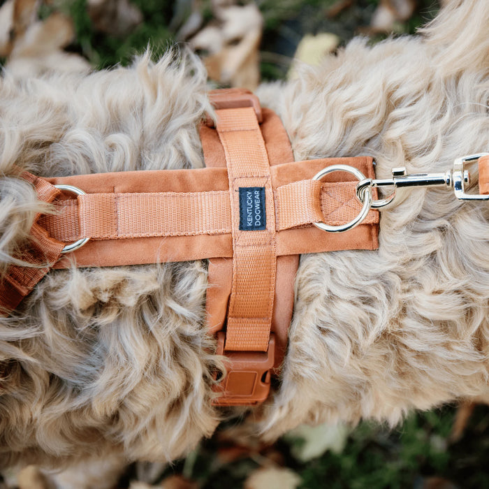 Dog Harness Active Velvet
