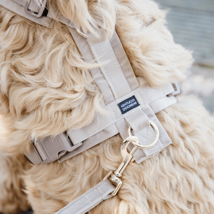 Dog Harness Active Velvet