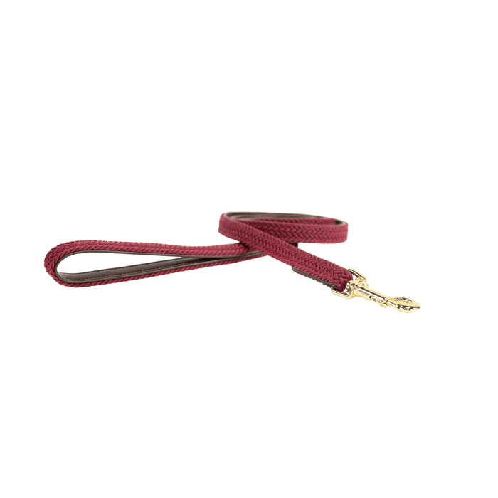 Plaited Nylon Dog Leash