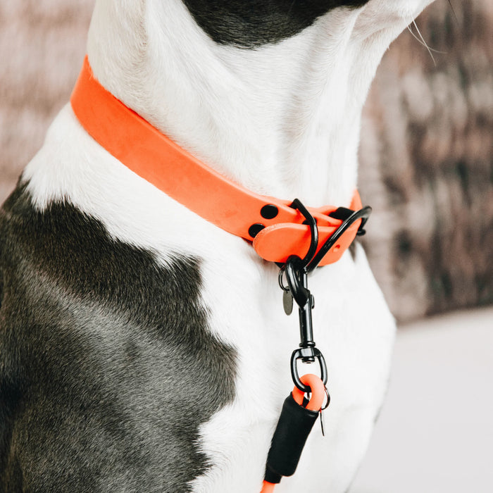 Hondenhalsband Soft Rubber