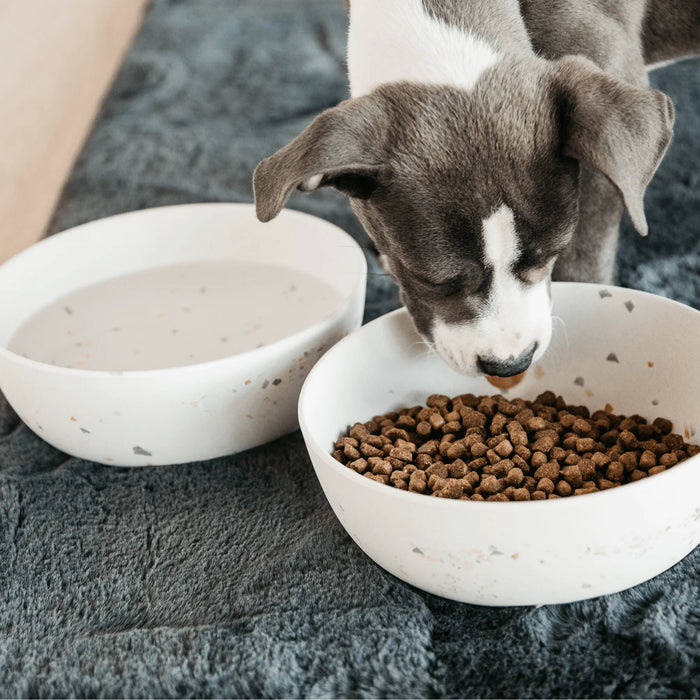 Dog Bowl Bamboo Terrazzo