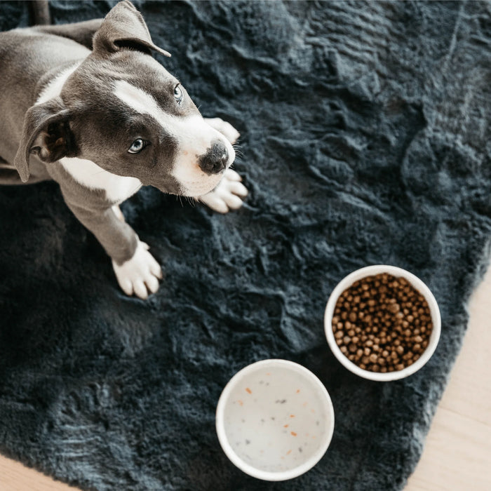 Dog Bowl Bamboo Terrazzo