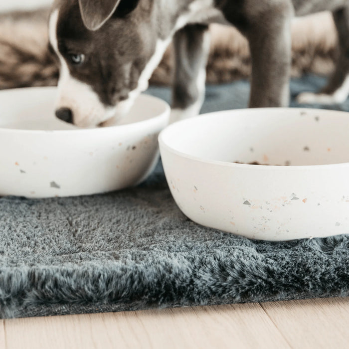 Dog Bowl Bamboo Terrazzo