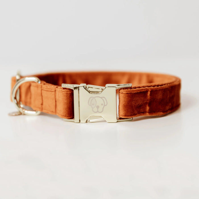 Hondenhalsband Velvet