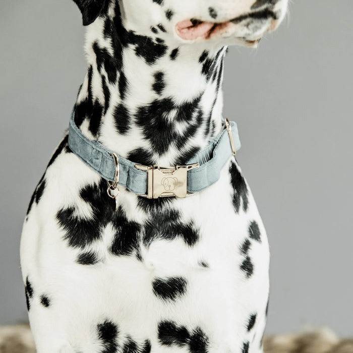 Velvet Dog Collar