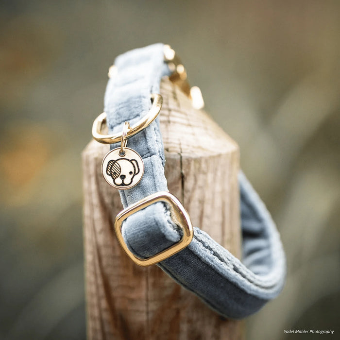 Hondenhalsband Velvet