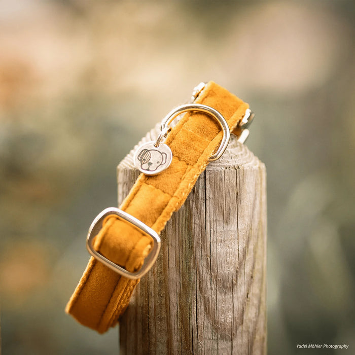 Hondenhalsband Velvet