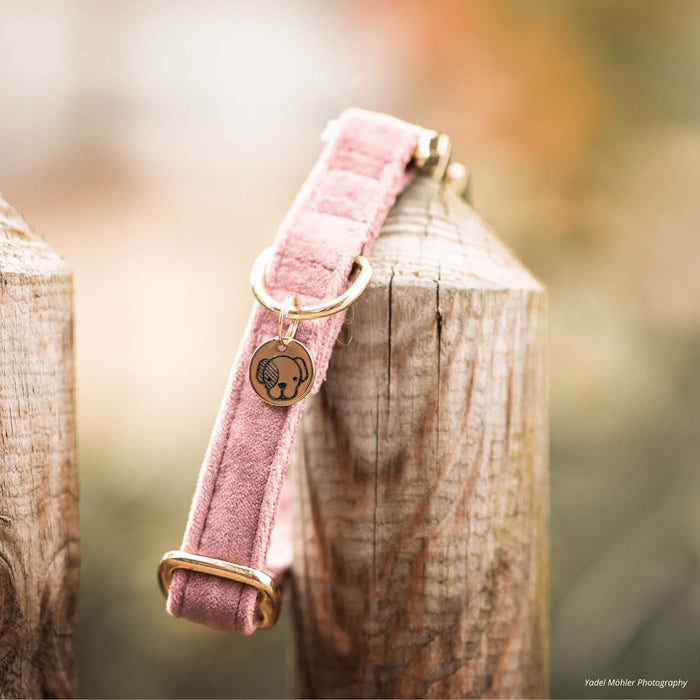 Hondenhalsband Velvet