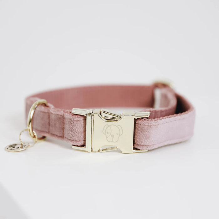 Hondenhalsband Velvet