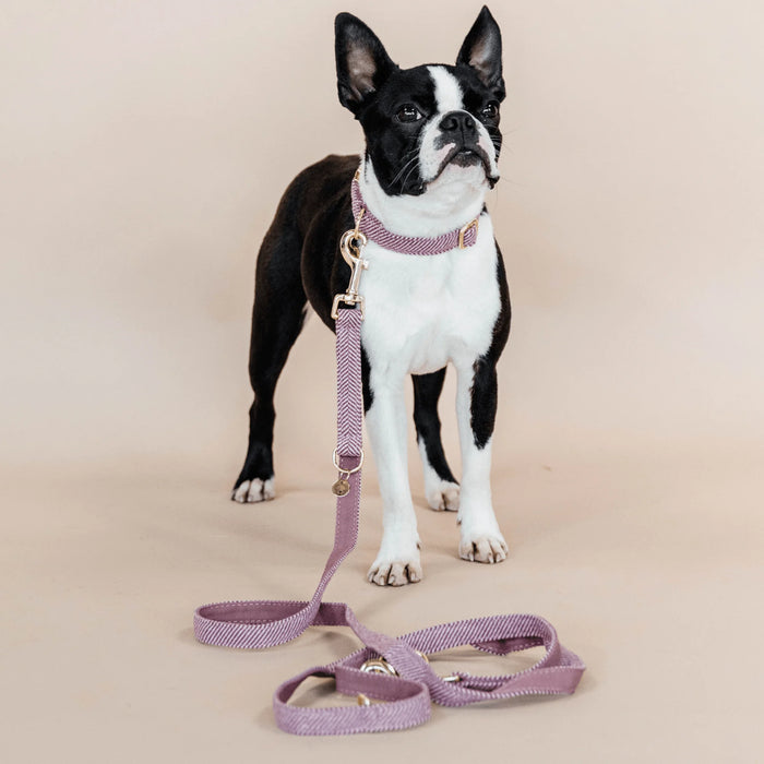 Dog Leash Wool