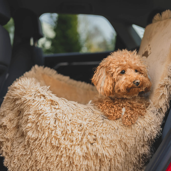 Bella Black - Dog car seat
