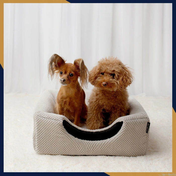 2-in-1 Hundebett mit Dach