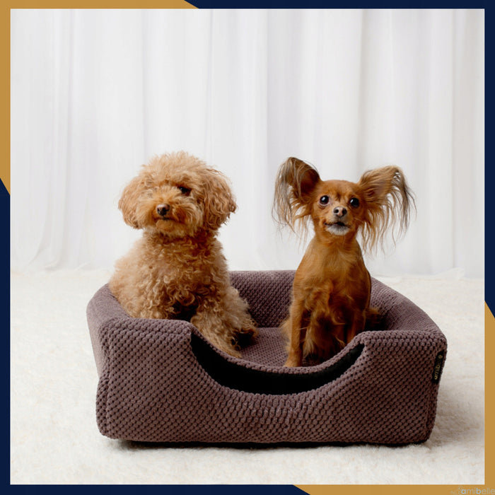 2-in-1 Hundebett mit Dach