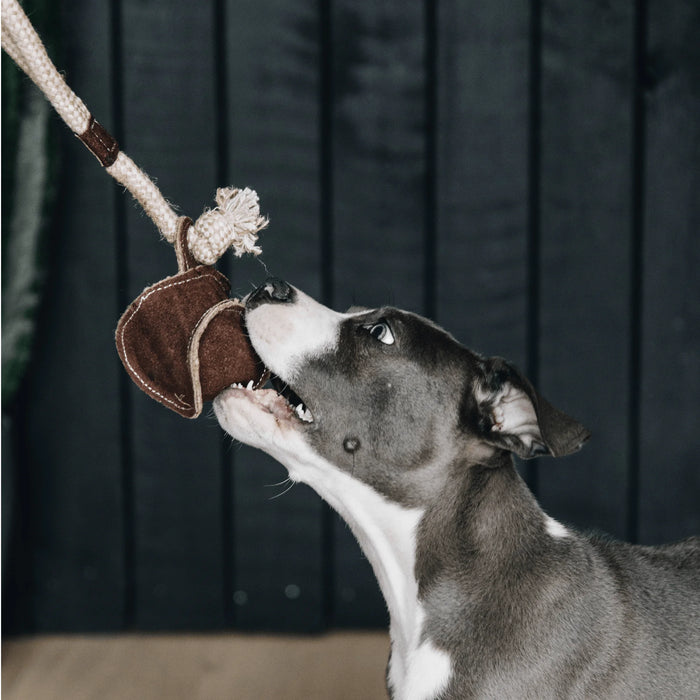 Dog Toy Cotton Rope Baseball