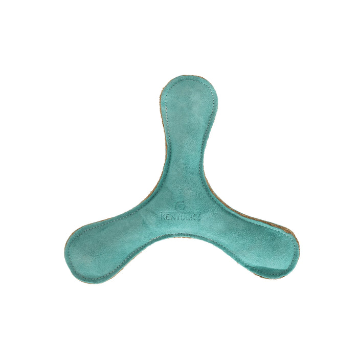 Dog Toy Pastel Boomerang