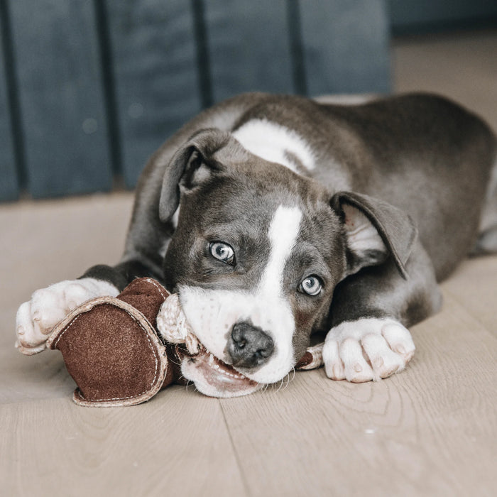 Dog Toy Cotton Rope Baseball