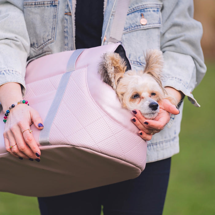 draagtas voor honden