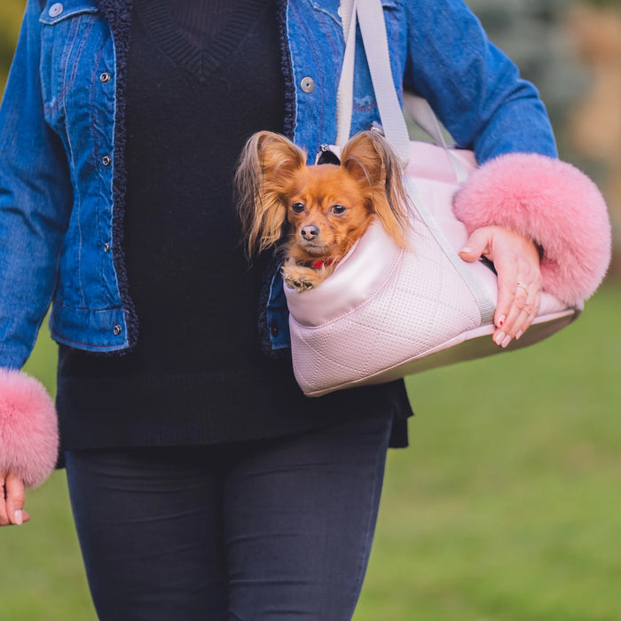 draagtas voor honden