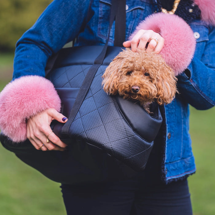 draagtas voor honden