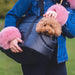 draagtas voor honden