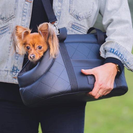 draagtas voor honden
