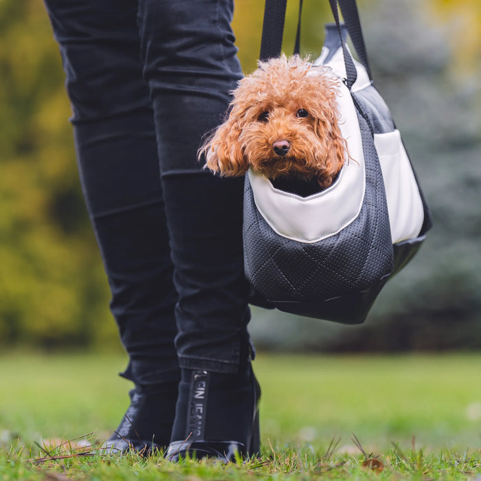 draagtas voor honden