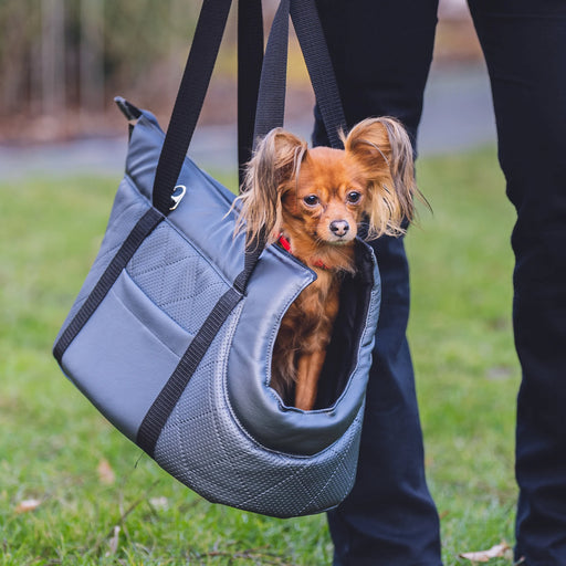 draagtas voor honden