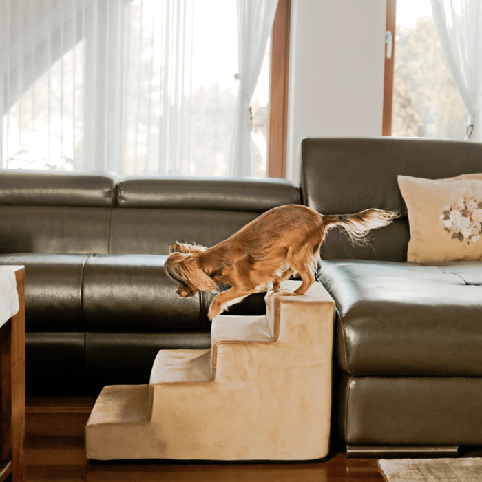Dog stairs Atlanta - Beige - 30/40cm