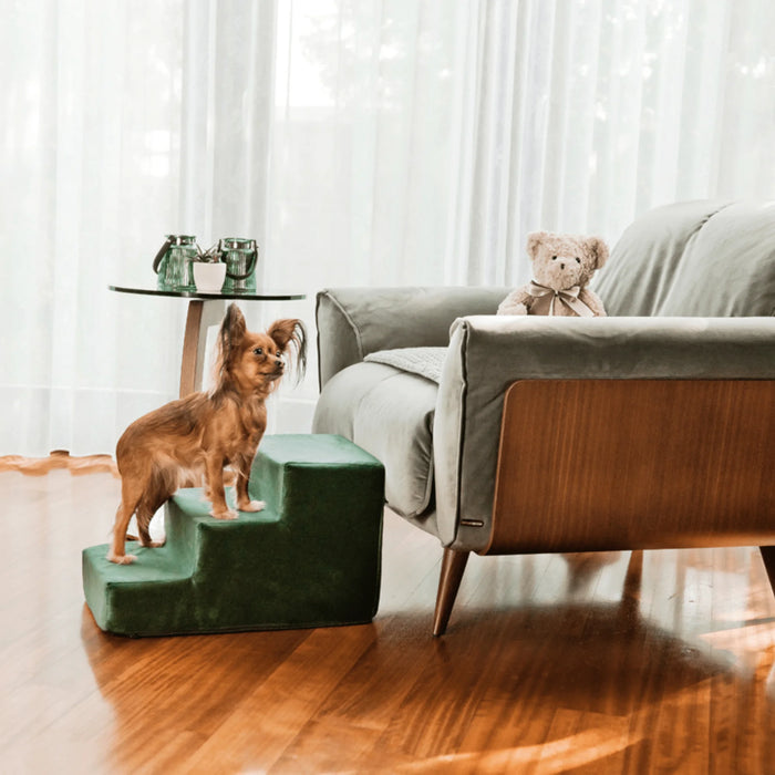 Dog stairs Atlanta - Green - 30/40cm